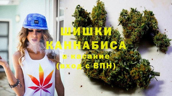 ПСИЛОЦИБИНОВЫЕ ГРИБЫ Лабытнанги