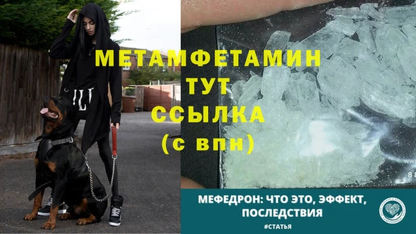 ПСИЛОЦИБИНОВЫЕ ГРИБЫ Лабытнанги