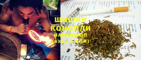 ПСИЛОЦИБИНОВЫЕ ГРИБЫ Лабытнанги