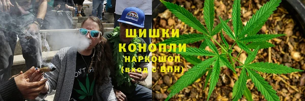 гидропоника Лагань