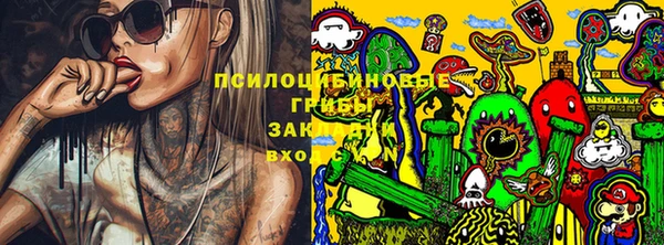 ПСИЛОЦИБИНОВЫЕ ГРИБЫ Лабытнанги