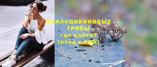 герыч Ладушкин